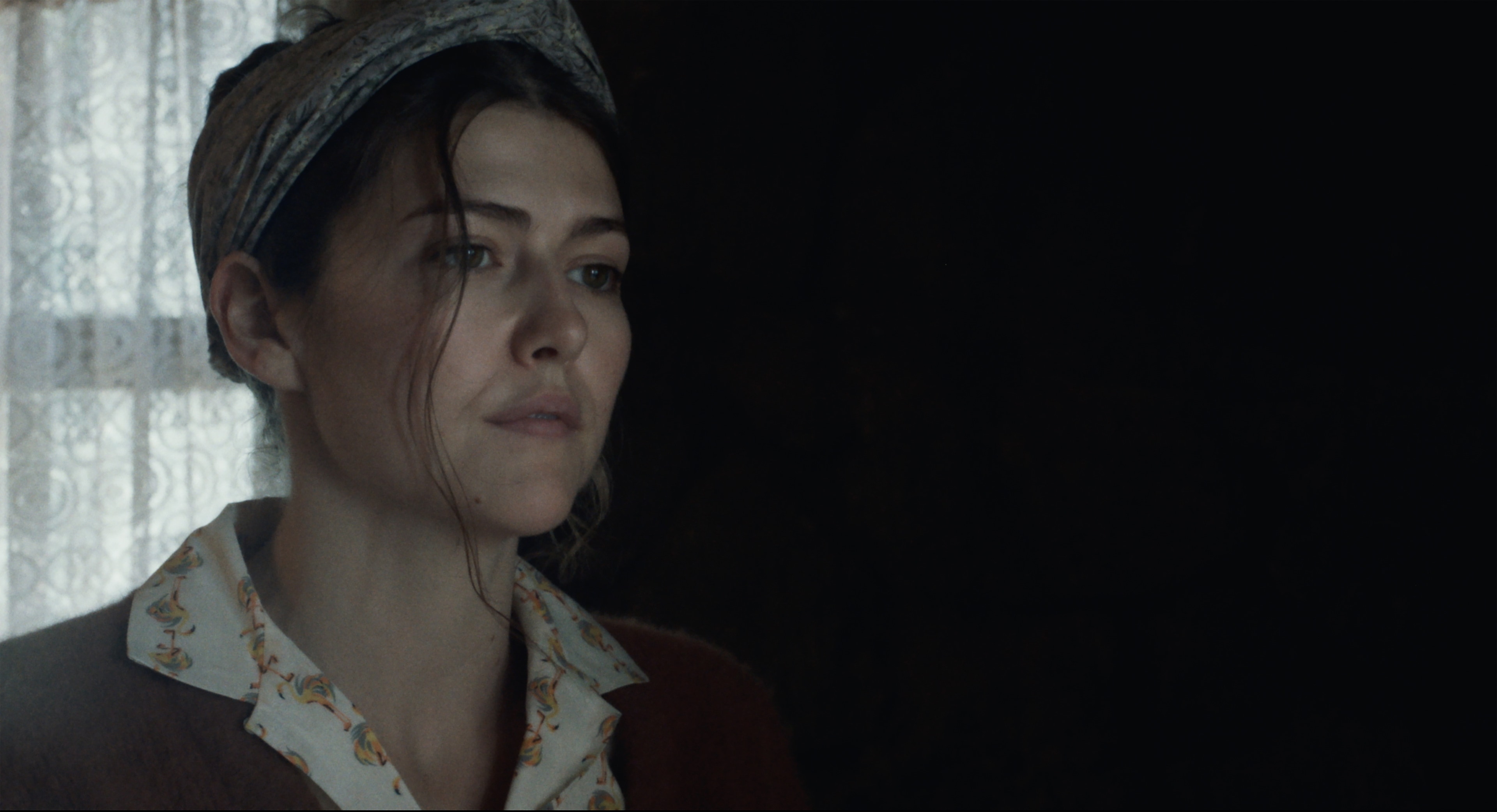 A woman in a headscarf in a dark farmhouse — still from North